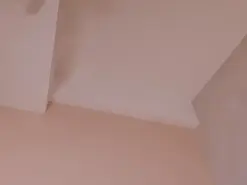 Amateur Live Sex of AbbieJones
