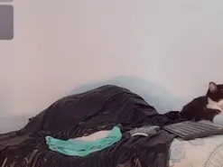Amateur Private Sex Chat of khiara_moretti