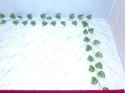 Amateur Live Porn of amandacanelacm