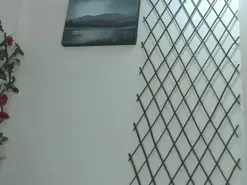 Amateur Free Live Porn of LiamBrown