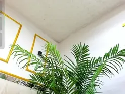 Amateur Sex Cam of Celeste_cortes