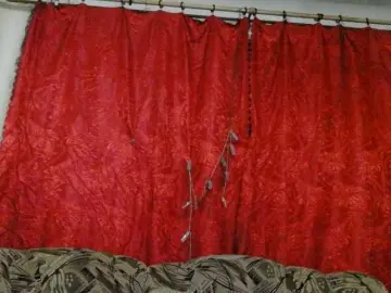 Bongacams Adult Webcam of FOX1010