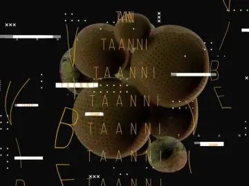 Bongacams Best Webcam of Taanni