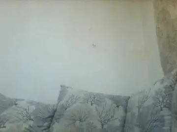 Bongacams Sex Chat of Heydarlingdarling