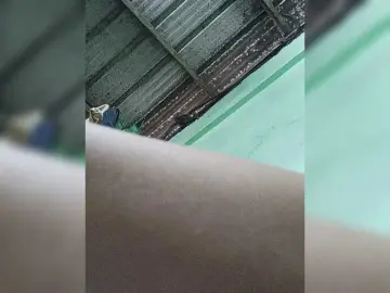 Bongacams Live Sex of kimikosnowie