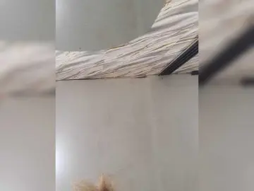 Bongacams Live Sex of PinkKittyy