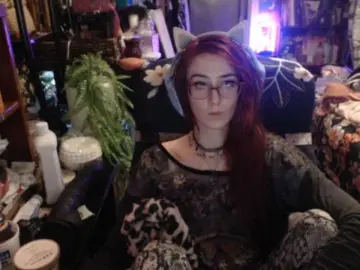 Bongacams Sex Cam of pussyxpaladin