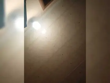 Bongacams Live Porn of Basketball1