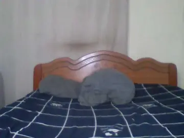 Bongacams Watch Live Sex Cams of Essyknight