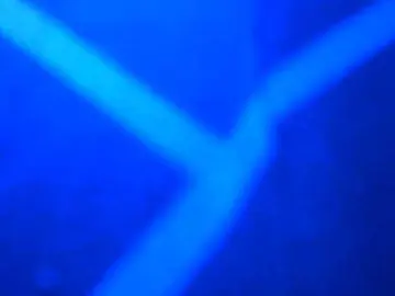Bongacams Private Sex Chat of sumeyhia