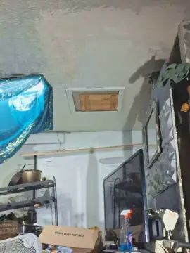Cam4 Nude Webcam of thompson3