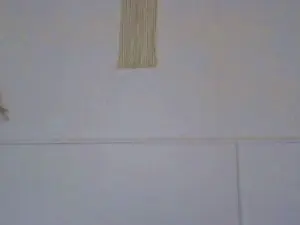 Cam4 Sex Chat of maskcouple7
