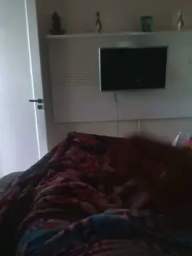 Cam4 Best live sex cam show of Harame