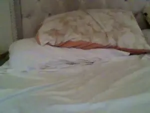 Cam4 Private Sex Chat of estet11