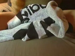 Cam4 Adult Video Chat of cutbigcock