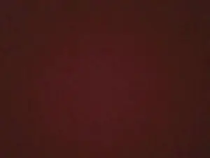 Cam4 Sex Cam of soltersex