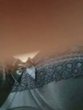 Cam4 Live Sex Cam of Camily