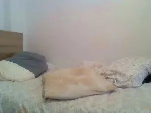 Cam4 Sex Cam of flacohotsexy