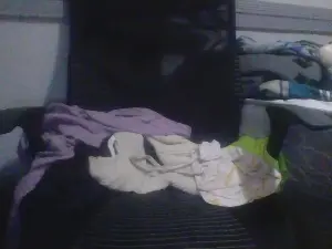Cam4 Adult Webcam of Rogerbix