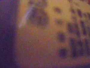 Cam4 Best live sex cam show of Don_chaquetas