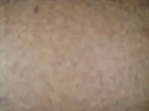 Cam4 Sex Chat of Don_chaquetas