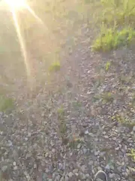 Cam4 Watch Live Sex Cams of No_Name82XxX