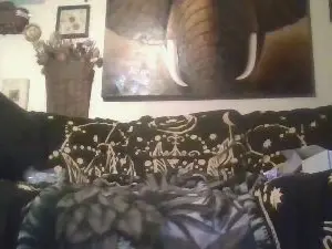 Cam4 Nude Webcam of Djmrkim
