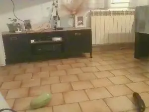 Cam4 Private Sex Chat of Guesh72