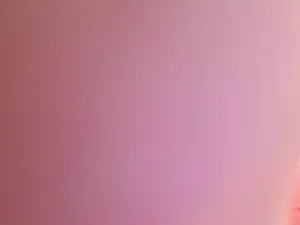 Cam4 Best Webcam of 007_Germany