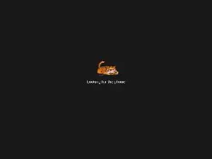 Cam4 Watch Live Sex Cams of forfuntr