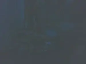 Cam4 Watch Live Sex Cams of boost2469