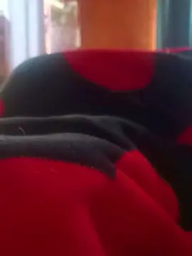Cam4 Private Sex Chat of dolcebaby99