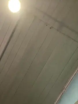 Cam4 Watch Live Sex Cams of francko28