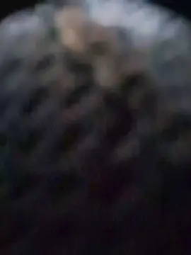 Cam4 Free Live Porn of paulo_cam24