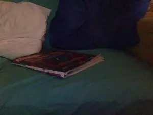 Cam4 Best Webcam of Dickinson99
