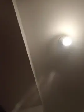 Cam4 Live Porn of lamoscafranchi