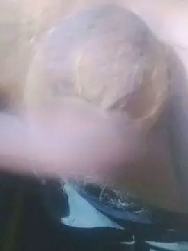 Cam4 Sex Cam of Rbd67