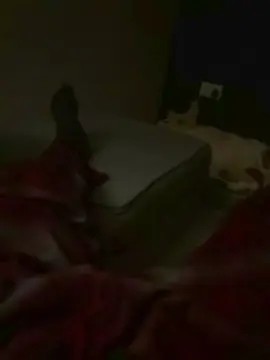 Cam4 Free Live Porn of Scott_27