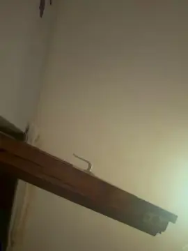 Cam4 Adult Webcam of Mrcfcc