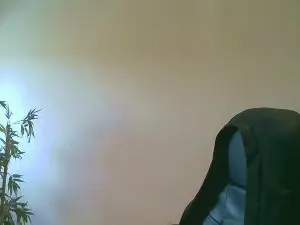 Cam4 Nude Webcam of MA2022