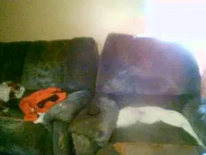 Cam4 Free Porn Cam of Boul1978