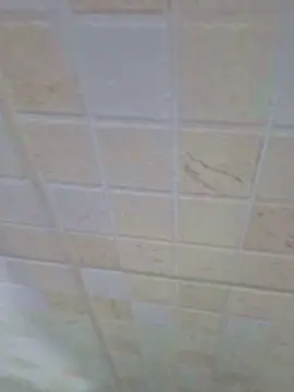 Cam4 Sex Cam of Escondidosempre