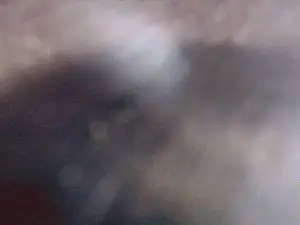 Cam4 Live Porn of Clarissa_Gill