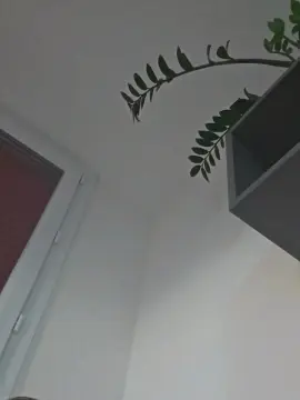 Cam4 Live Sex Cam of Tralmas71