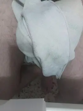 Cam4 Sex Chat of wandedarbis