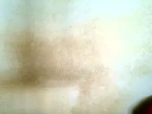 Cam4 Free Porn Cam of manvoles
