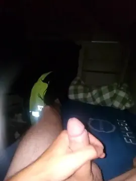 Cam4 Free Porn Cam of Cata842