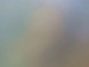 Cam4 Sex Cam of Teamtouch