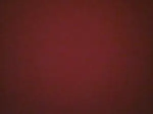Cam4 Adult Webcam of danyputinhaaa