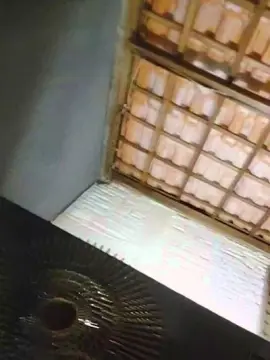 Cam4 Live Porn of Jardineiroativo